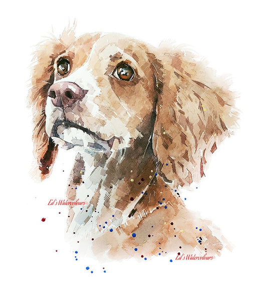Cocker Spaniel Soulful" Print Watercolour. Cocker Spaniel art,Cocker Spaniel watercolour,Cocker Spaniel watercolor,Cocker Spaniel art print.