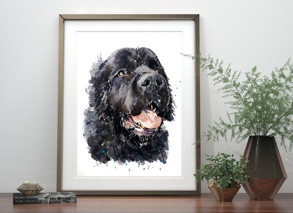 Newfoundland dog II " Print Watercolour.Newfoundland dog art,Newfoundland dog print,Newfoundland dog watercolour,Newfoundland dog wall art