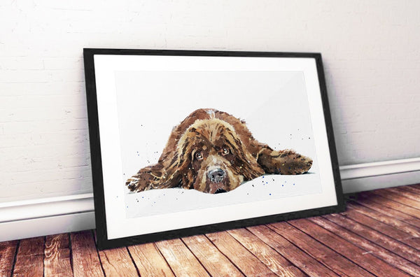 Brown Newfoundland dog - Print Watercolour. Newfie dog art, Newfoundland dog print, Newfoundland dog watercolour, Newfoundland dog wall art