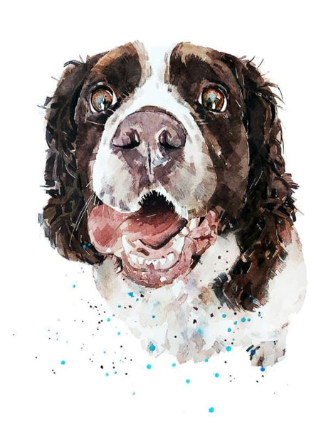 Springer Spaniel " Print Watercolour.Springer Spaniel Art,Springer Spaniel watercolour,Springer Spaniel wall art