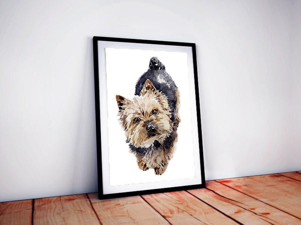 Norwich Terrier II " Print - Norwich Terrier art,Norwich Terrier Watercolour Print,Norwich Terrier wall art