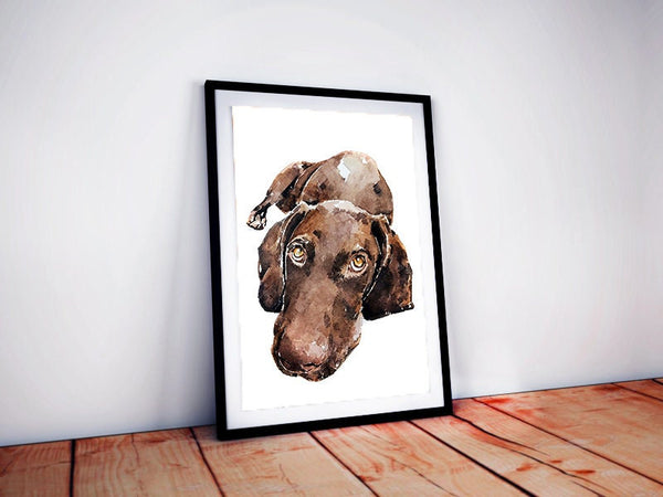 German Shorthaired Pointer Soulful - GSP Print Watercolour,German Shorthaired Pointer,GSP print, GSP Art