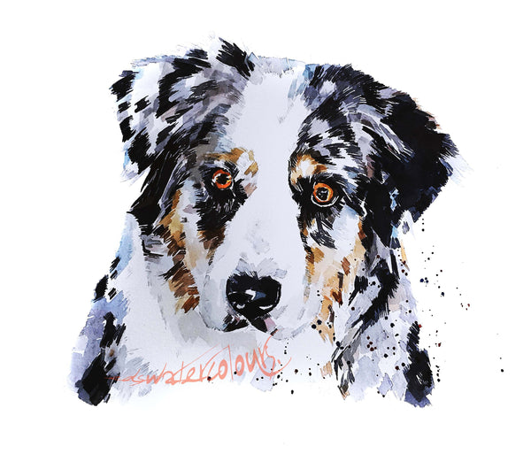 Merle Border Collie  -  Watercolour Print. Border Collie art, Border Collie print, Border Collie wall art.