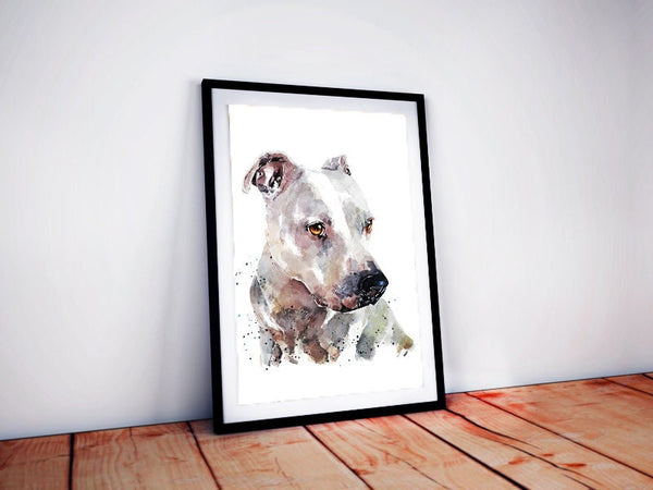 White Staffordshire Bull Terrier - Watercolour Print.White Staffy art,White Staffy print,White Staffie art print,White Staffie watercolour