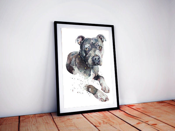 Blue Staffordshire Bull Terrier - Watercolour Print.Blue Staffy art,Blue Staffy print,Blue Staffie art print,Blue Staffie watercolour