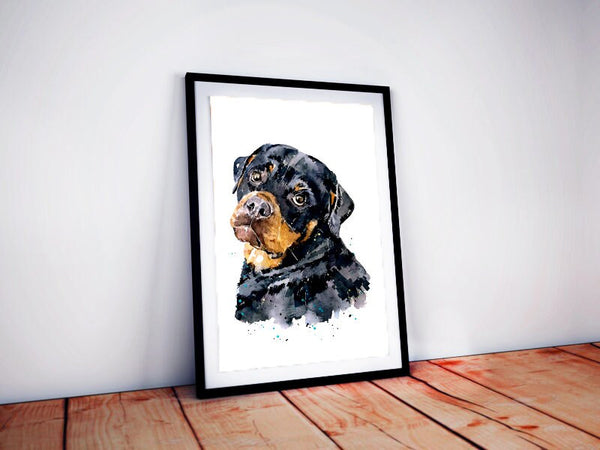 A Gentle Soul -  Rottweiler " Print Watercolour,Rottweiler art,Rottweiler watercolor print,Rottweiler watercolor,Rottie wall art