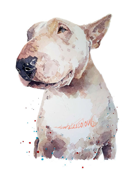 White English Bull Terrier - Watercolour Print.Bull Terrier art,Bull Terrier print,Bull Terrier watercolour,Bull Terrier wall art