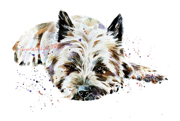 Relax "The Cairn way" Print Watercolour.Cairn Terrier art,Cairn Terrier print,Cairn Terrier watercolour print.Cairn Terrier dog art