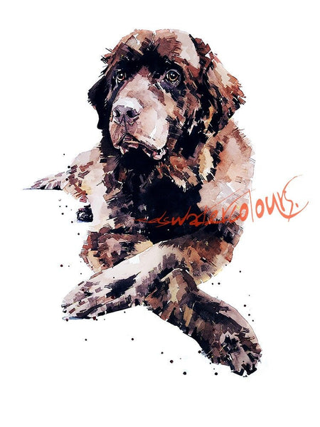 Regal Newfoundland dog  - Print Watercolour. Newfie dog art, Newfoundland dog print, Newfoundland dog watercolour, Newfoundland dog wall art