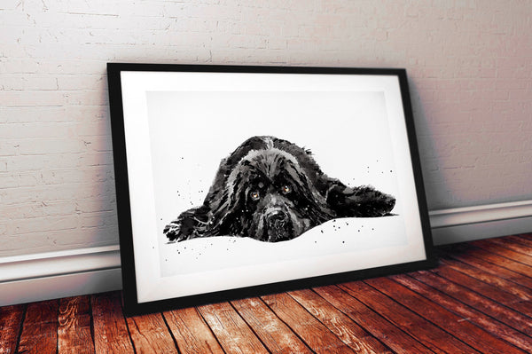 Black Newfoundland dog - Print Watercolour. Newfie dog art, Newfoundland dog print, Newfoundland dog watercolour, Newfoundland dog wall art