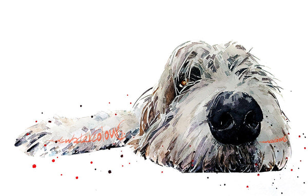 Irish Wolfhound Passed Out "Print Watercolour,Irish Wolfhound art,Irish Wolf Houndprint,Irish Wolfhound watercolour,Irish Wolfhound artprint