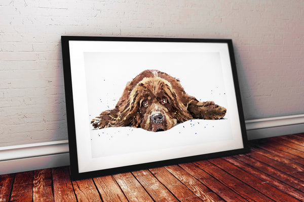 Brown Newfoundland Dog II" - Original Watercolour Art.Newfie Original Watercolour