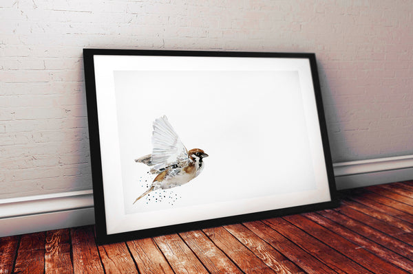 House Sparrow " Print Watercolour,Sparrow bird art,House Sparrow print,House Sparrow Watercolor, House Sparrow watercolour Print