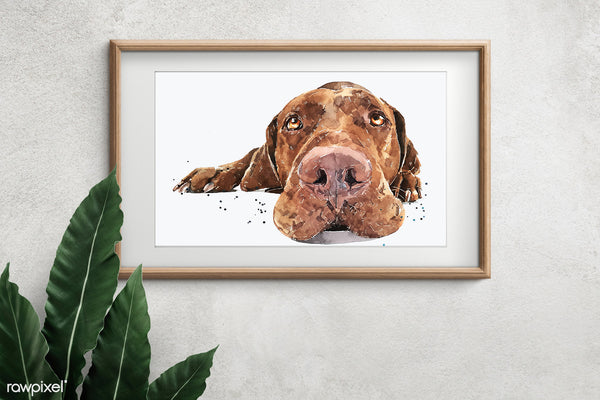 "Vizsla: Passed Out" - Watercolour Print
