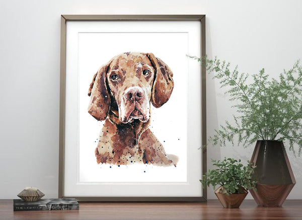 "Vizsla: Pomp" - Watercolour Print