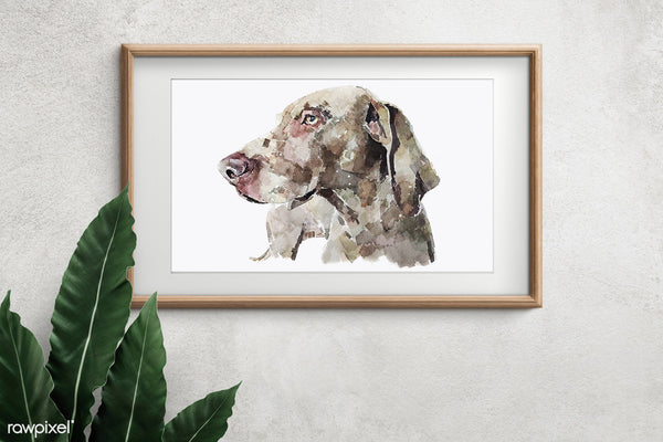 "Weimaraner: Strike A Pose" - Watercolour Print