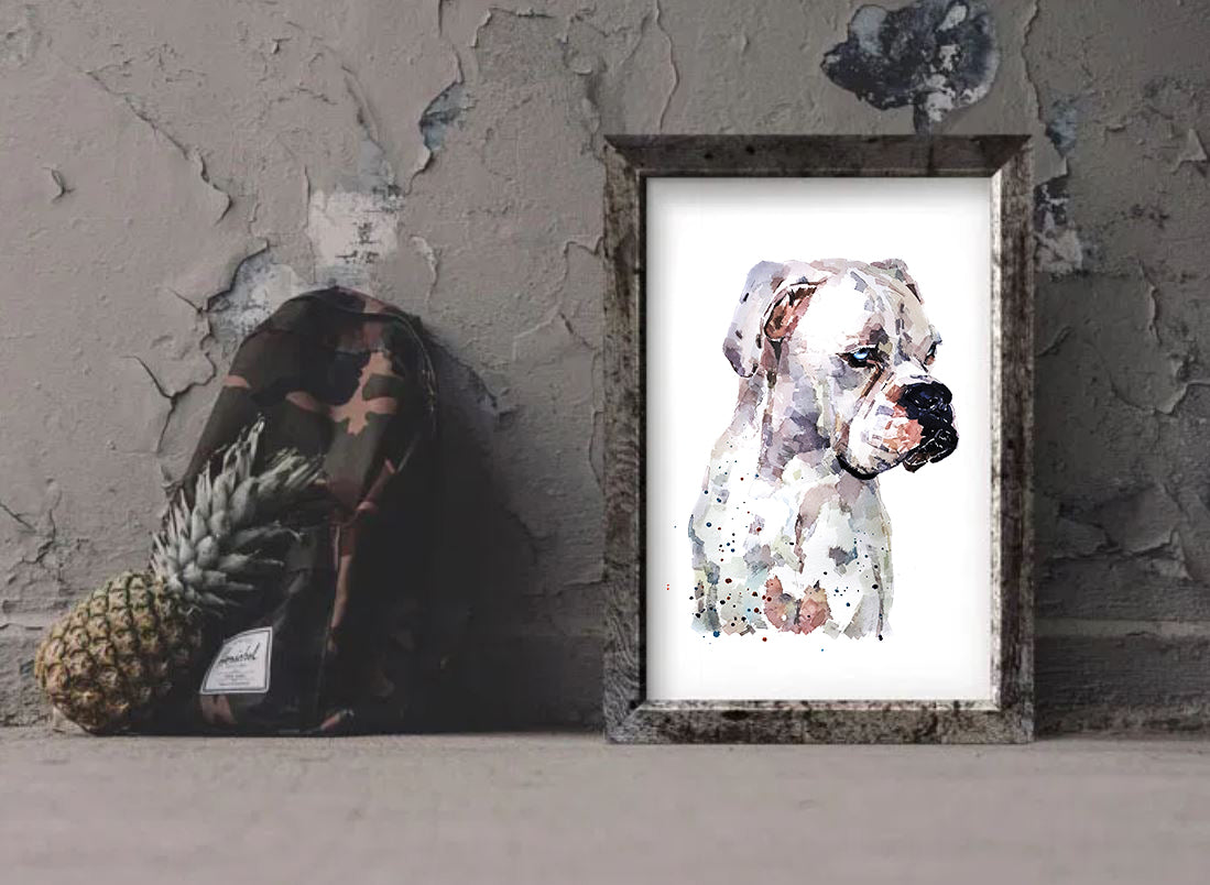 "White Boxer (Version 1)" - Watercolour Print