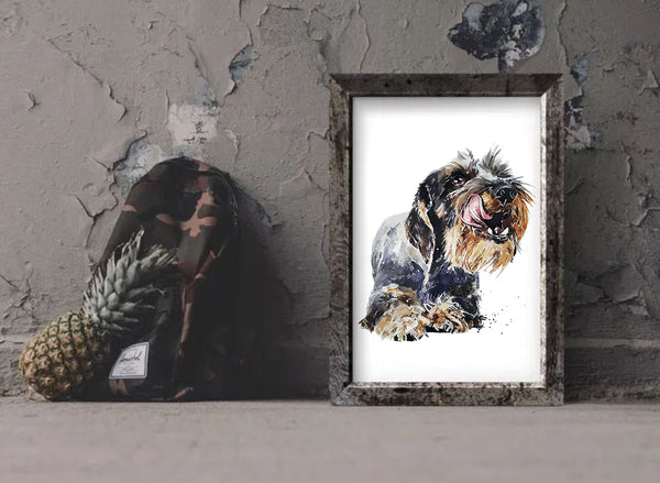 "Wire-Haired Dachshund (Version 4)" - Watercolour Print