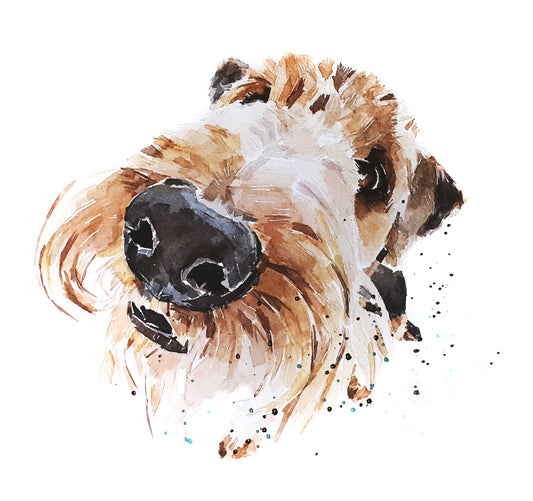 Airedale Terrier II | Dog Art Print | Edswatercolours