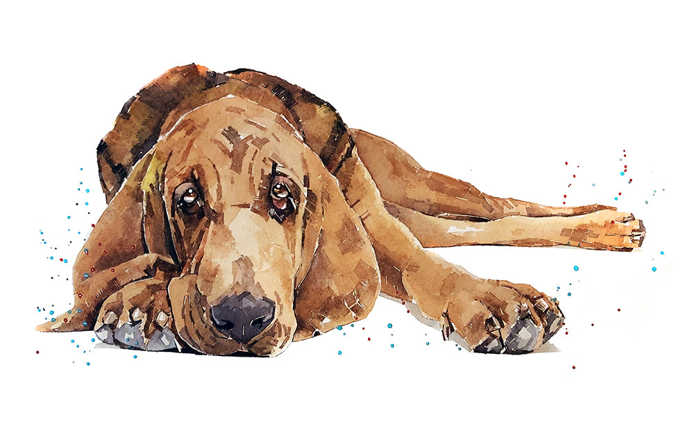 Bloodhound II | Original Watercolour | Dog Lover Gift | Edswatercolours