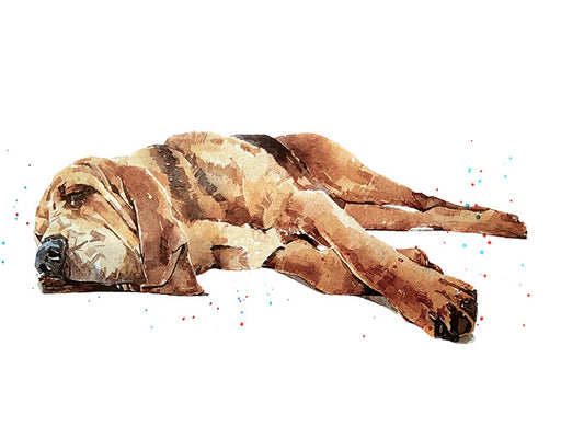 Bloodhound Passed Out | Dog Art Print | Edswatercolours