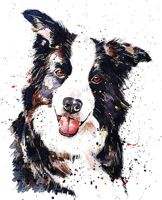 Border Collie The Pursuit of Happiness | Dog Art Print | Edswatercolours