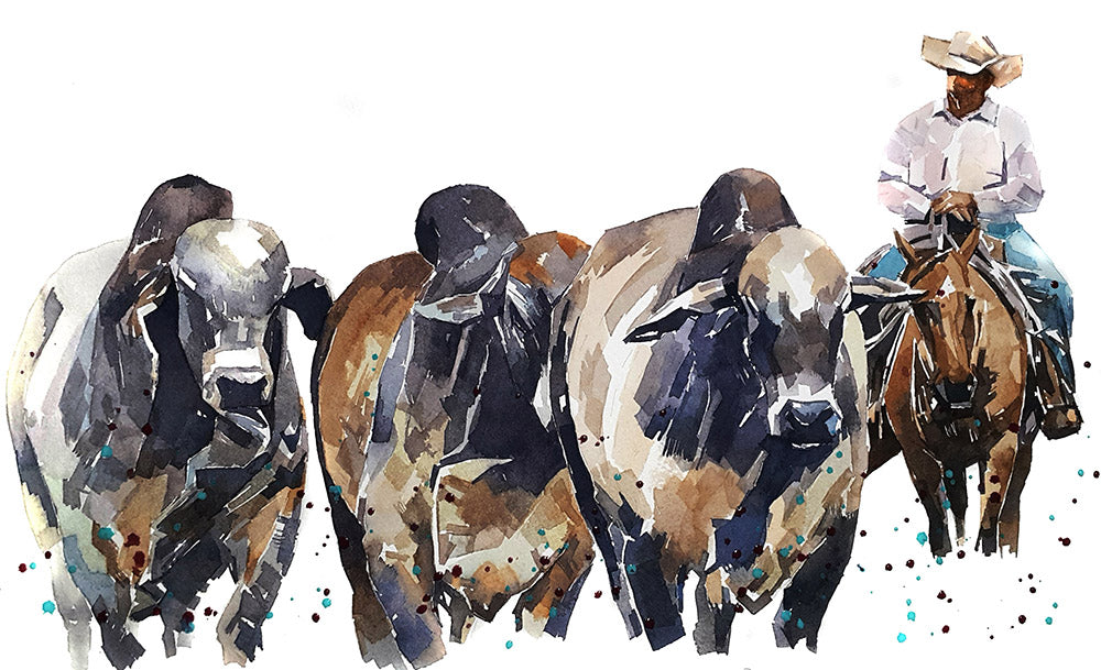 Brahman Cattle & Cowboy | Original Watercolour | Cow Lover Gift | Edswatercolours