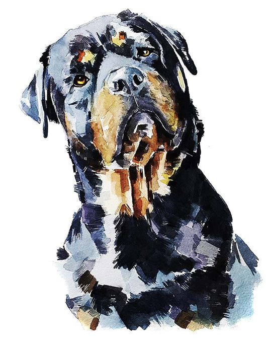 Rottweiler | Dog Art Print | Edswatercolours