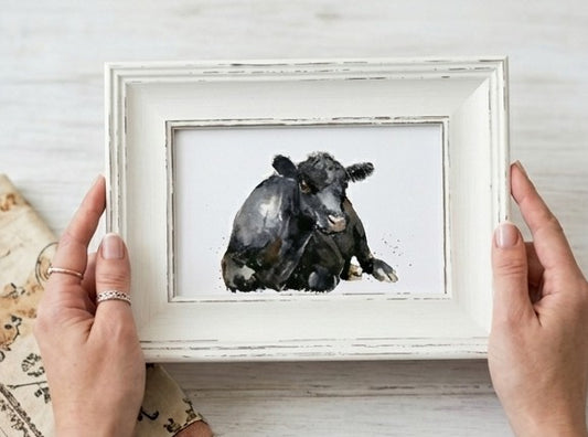 Aberdeen Angus Mini Art Print 17x12cm – Framed White Rustic Frame – Majestic, Gentle, Iconic – Edswatercolours