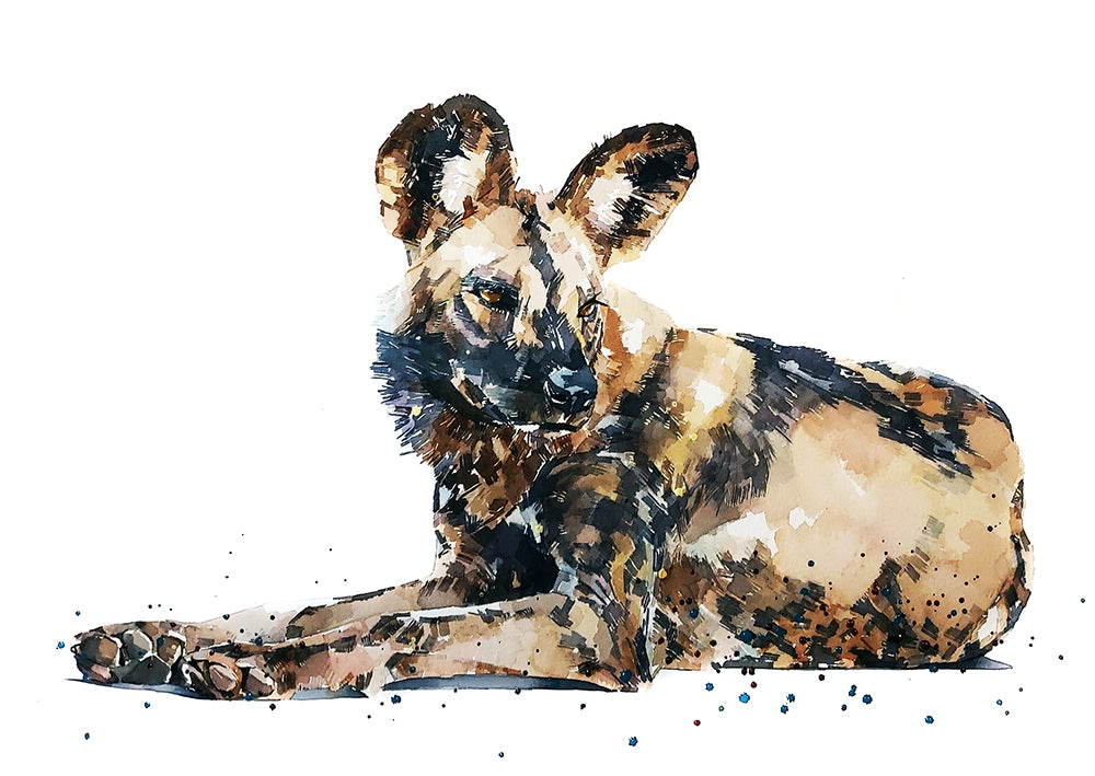 African Wild Dog | Original Watercolour | Wildlife Lover Gift | Edswatercolours