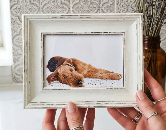 Airedale Mini Art Print – 17x12cm of White Rustic Framed Canine Class. Mini Airedale Desk Art