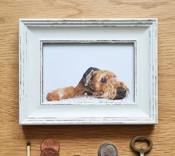 Airedale Mini Art Print – 17x12cm of White Rustic Framed Canine Class. Mini Airedale Desk Art