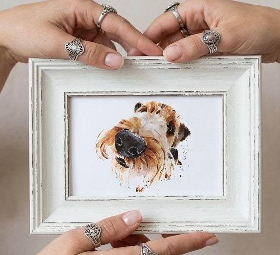 Airedale Mini Art Print – 17x12cm of White Rustic Framed Canine Class. Mini Airedale Desk Art