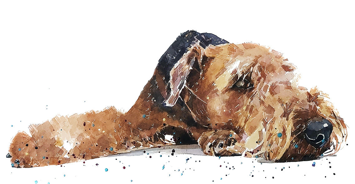 Airedale Passed Out | Dog Art Print | Edswatercolours