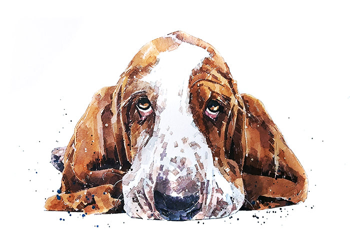 Basset Hound | Original Watercolour | Dog Lover Gift | Edswatercolours