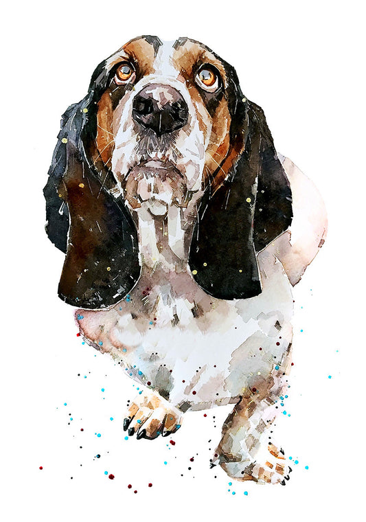 Basset Hound 3 | Dog Art Print | Edswatercolours