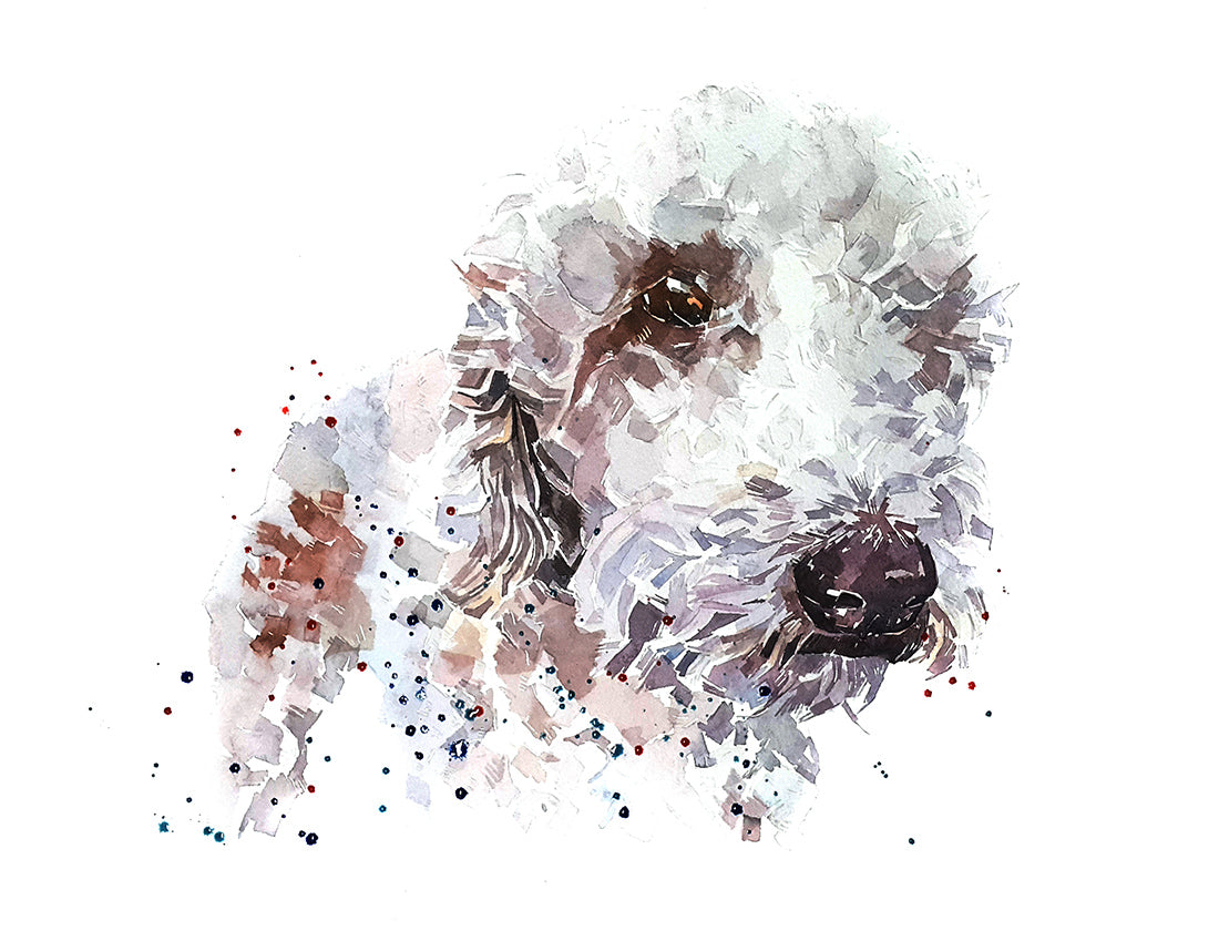 Bedlington Terrier | Dog Art Print | Edswatercolours
