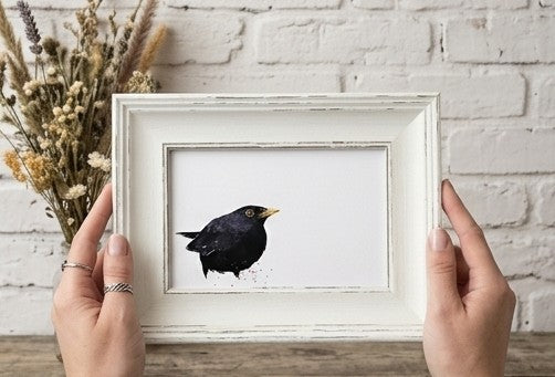 Blackbird Mini Art Print 17x12cm – Framed White Rustic Frame – Nature’s Quiet Elegance. Framed bird print,nature art print