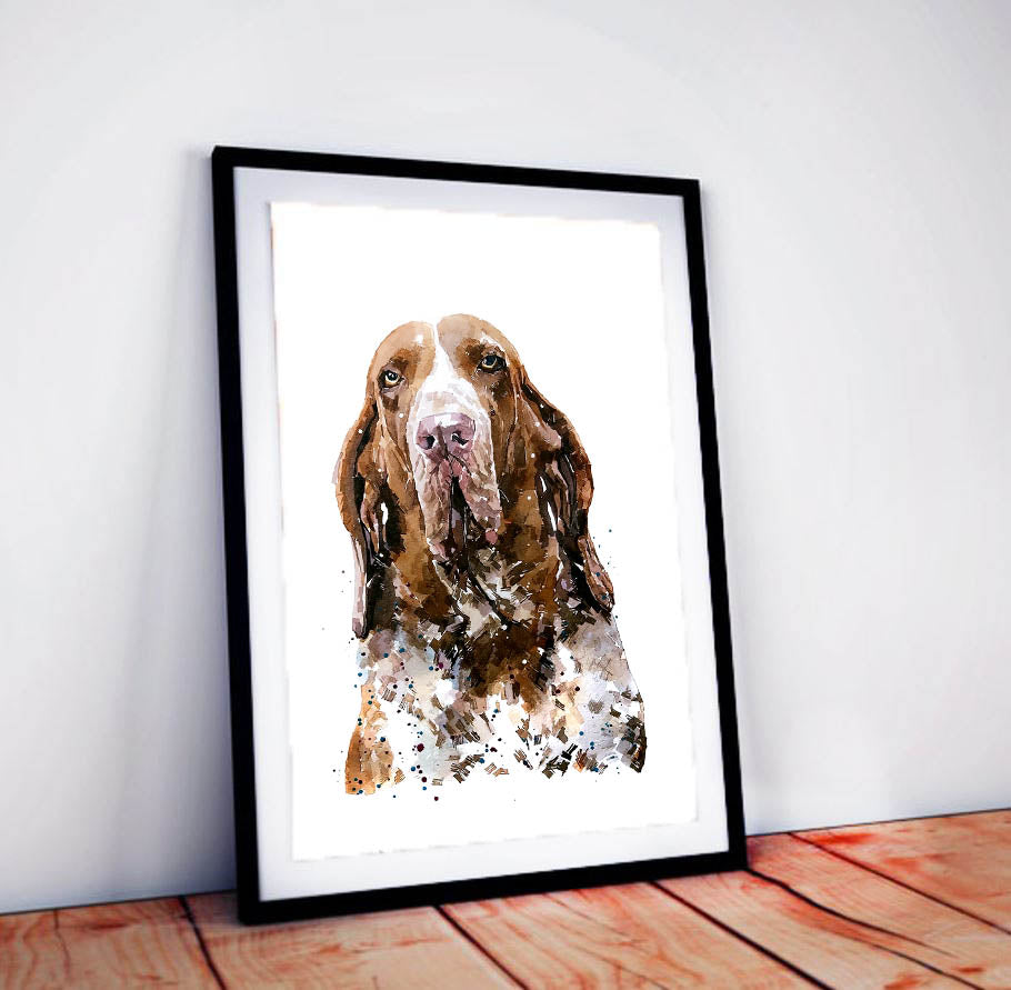 Bracco Italiano Regal | Dog Art Print | Edswatercolours