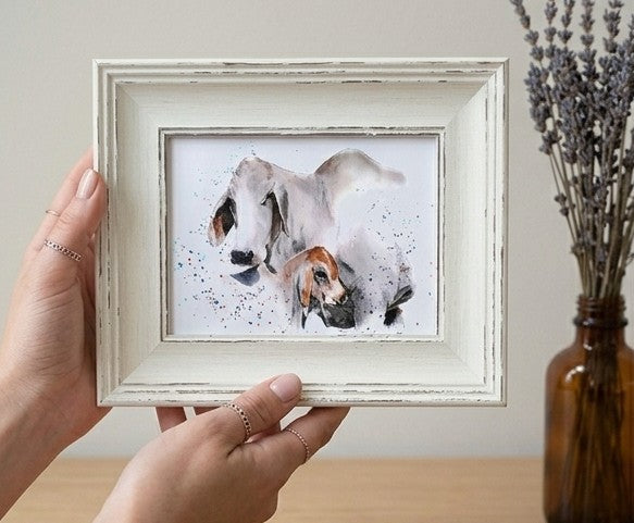 Brahman Cattle Mini Art Print 17x12cm – Framed White Rustic Frame – Majestic, Muscular, Sacred