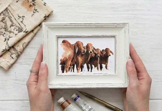 Brahman Cattle Mini Art Print 17x12cm – Framed White Rustic Frame – Majestic, Muscular, Sacred