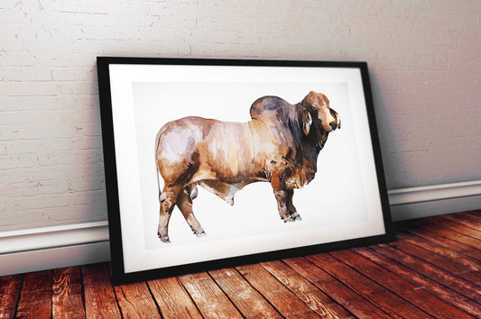 Brahman Bull II | Original Watercolour | Cow Lover Gift | Edswatercolours