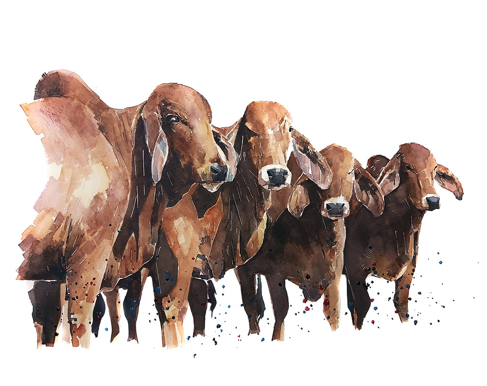 Red Brahman Cattle | Original Watercolour | Cow Lover Gift | Edswatercolours