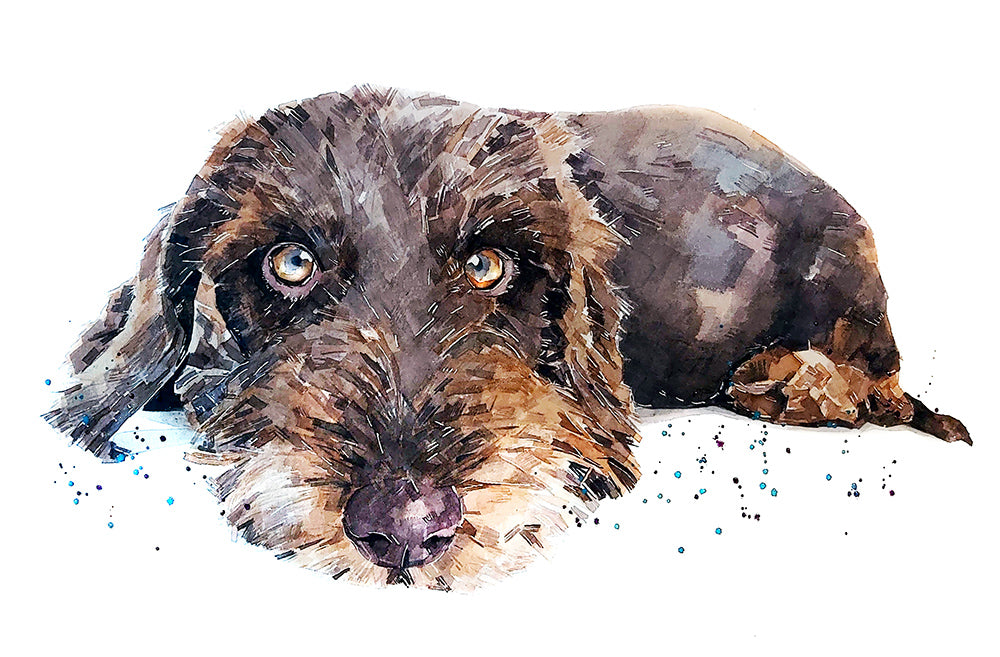 Chocolate Wirehaired Dachshund | Original Watercolour | Dog Lover Gift | Edswatercolours