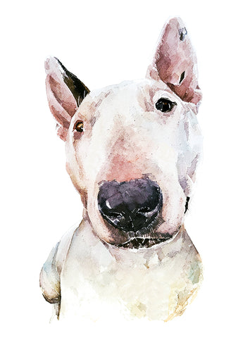 "White Bull Terrier (Version 2)" - Watercolour Original