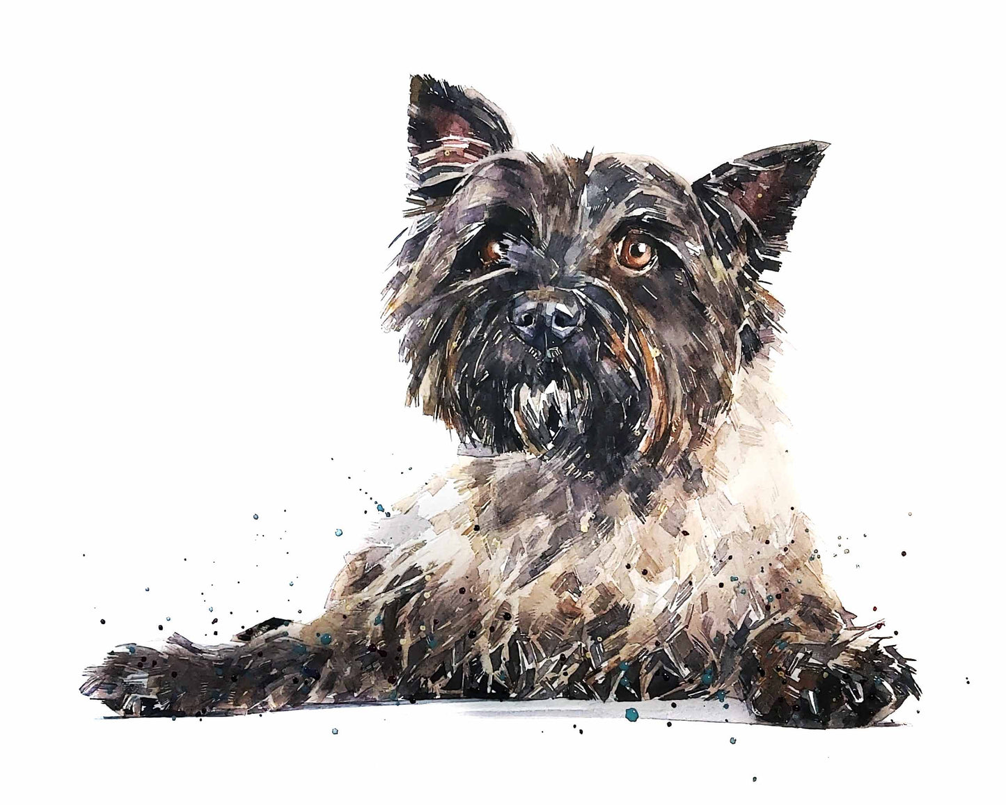 Cairn Terrier Reclined | Dog Art Print | Edswatercolours