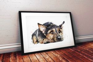 Cairn Terrier Passed Out 2 - Original Watercolour A2 (50*60cm/20*16 Inches). Cairn Terrier Watercolour Original painting.
