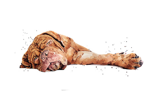 Dogue de Bordeaux II | Dog Art Print | Edswatercolours (Copy)