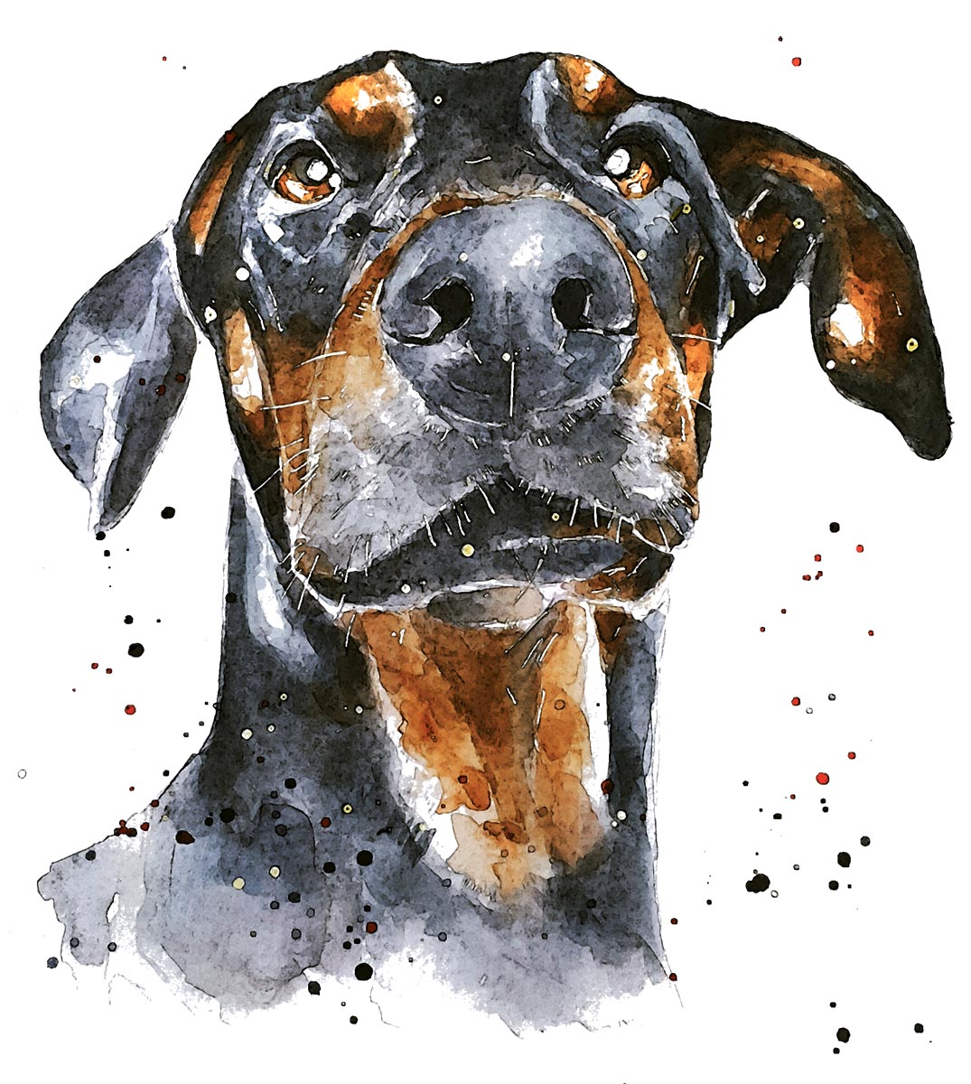 Doberman | Dog Art Print | Edswatercolours