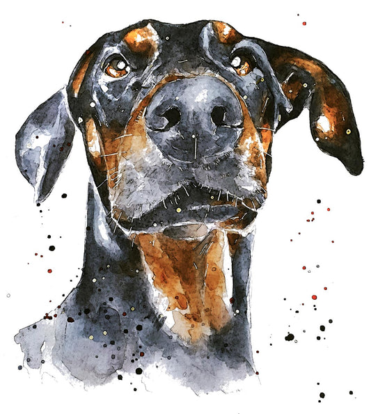 Doberman | Dog Art Print | Edswatercolours